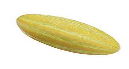 پوست خربزه برای سنگ کلیه ؛ خاصیت پوست خربزه برای درمان سنگ کلیه پوست خربزه برای سنگ کلیه ؛ خاصیت پوست خربزه برای درمان سنگ کلیه