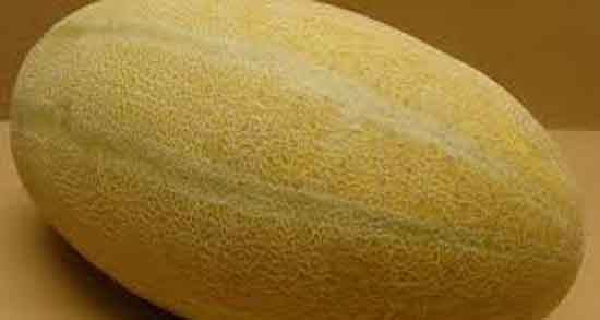 پوست خربزه و درمان پروستات ؛ ایا پوست خربزه برای درد پروستات مفیده پوست خربزه و درمان پروستات ؛ ایا پوست خربزه برای درد پروستات مفیده