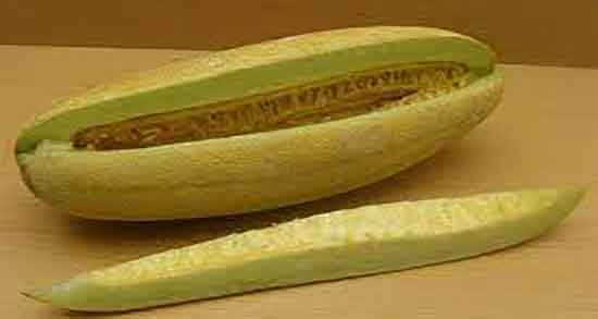 پوست خربزه و پروستات ؛ پوست خربزه برای جلوگیری از بیماری پروستات پوست خربزه و پروستات ؛ پوست خربزه برای جلوگیری از بیماری پروستات