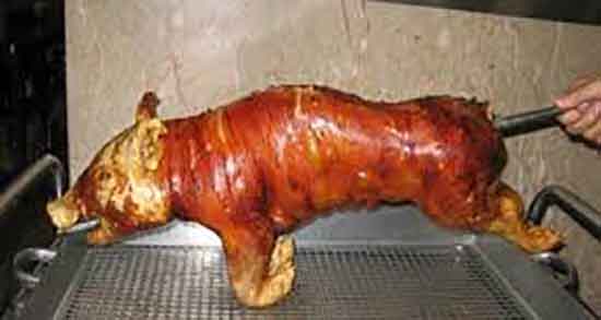 چرا گوشت سگ و خوک حرام است و حکم گوشت سگ و خوک چیست چرا گوشت سگ و خوک حرام است ؛ حکم گوشت سگ و خوک چیست