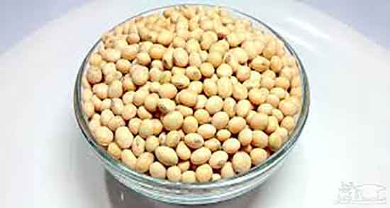 چگونه جوانه سویا درست کنیم ؛ دستور تهیه جوانه سویا در خانه چگونه است چگونه جوانه سویا درست کنیم ؛ دستور تهیه جوانه سویا در خانه چگونه است
