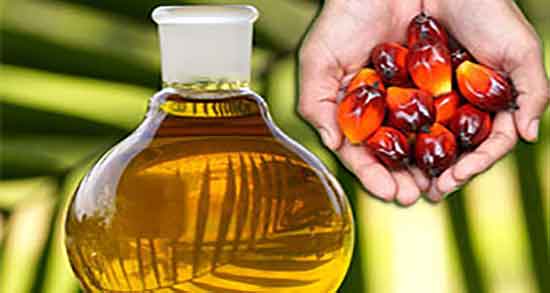 چگونه روغن هسته خرما درست کنیم ؛ آموزش گرفتن روغن هسته خرما چگونه روغن هسته خرما درست کنیم ؛ آموزش گرفتن روغن هسته خرما