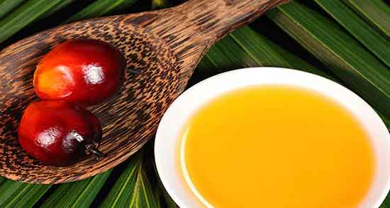 چگونه روغن هسته خرما را بگیریم ؛ دستور تهیه روغن هسته خرما چگونه روغن هسته خرما را بگیریم ؛ دستور تهیه روغن هسته خرما