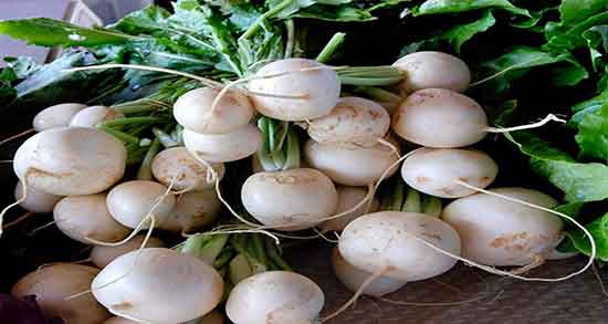 چگونگی مصرف ترب سفید و طرز استفاده از ترب سفید برای بدن چگونگی مصرف ترب سفید ؛ طرز استفاده از ترب سفید برای بدن