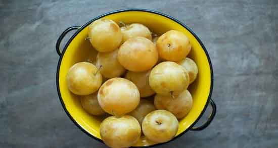 کالری آلو زرد و چه میزان کالری در آلو زرد وجود دارد کالری آلو زرد ؛ چه میزان کالری در آلو زرد وجود دارد