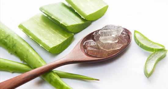 کالری آلوورا و چه میزان کالری در آلوورا وجود دارد کالری آلوورا ؛ چه میزان کالری در آلوورا وجود دارد