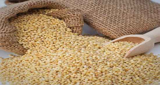 کالری ارزن و چه میزان کالری در ارزن وجود دارد کالری ارزن ؛ چه میزان کالری در ارزن وجود دارد