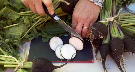 کالری ترب سیاه و میزان کالری یک لیوان اب ترب سیاه برای بدن کالری ترب سیاه ؛ میزان کالری یک لیوان اب ترب سیاه برای بدن