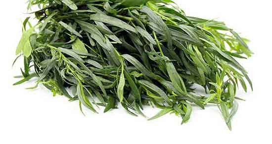 کالری ترخون ؛ مقدار کالری یک لیوان ترخون برای بدن انسان چقدره کالری ترخون ؛ مقدار کالری یک لیوان ترخون برای بدن انسان چقدره