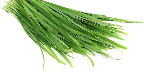 کالری تره فرنگی ؛ میزان کالری یک حلقه تره فرنگی برای بدن چقدره کالری تره فرنگی ؛ میزان کالری یک حلقه تره فرنگی برای بدن چقدره