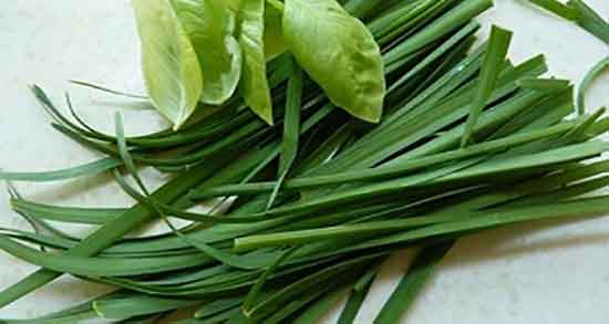 کالری تره و میزان کالری یک لیوان دمنوش تره خشک چقدر است کالری تره ؛ میزان کالری یک لیوان دمنوش تره خشک چقدر است