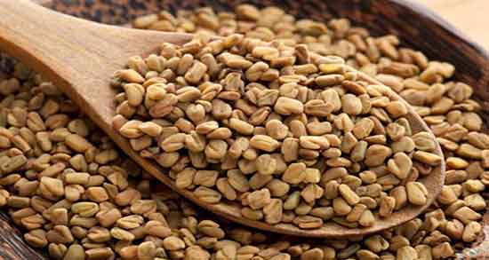 کالری دانه شنبلیله و میزان کالری شنبلیله برای چاقی صورت چقدره کالری دانه شنبلیله ؛ میزان کالری شنبلیله برای چاقی صورت چقدره