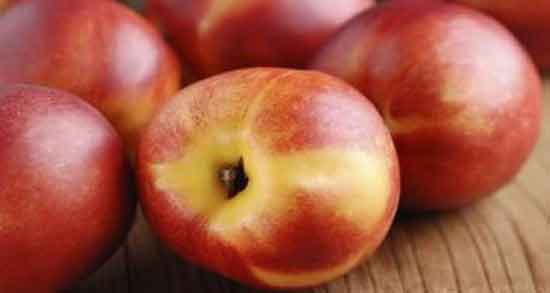 کالری شلیل و چه میزان کالری در میوه شلیل وجود دارد کالری شلیل ؛ چه میزان کالری در میوه شلیل وجود دارد