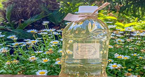 کالری عرق بهار نارنج و میزان کالری یک لیوان عرق بهار نارنج برای لاغری کالری عرق بهار نارنج ؛ میزان کالری یک لیوان عرق بهار نارنج برای لاغری