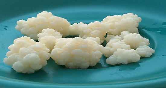 کالری کفیر و میزان کالری یک لیوان دوغ کفیر دار برای بدن چقدره کالری کفیر ؛ میزان کالری یک لیوان دوغ کفیر دار برای بدن چقدره