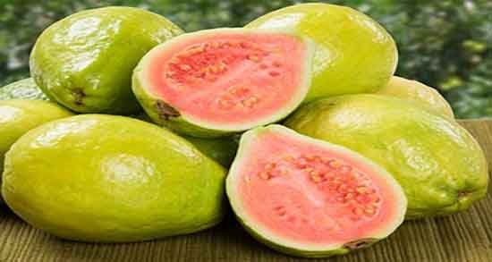 کالری گواوا و چه میزان کالری در گواوا وجود دارد کالری گواوا ؛ چه میزان کالری در گواوا وجود دارد