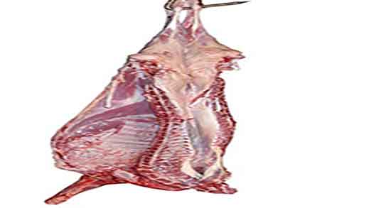 کالری گوشت بره و میزان کالری گوشت بره پخته شده برای بدن چقدره کالری گوشت بره ؛ میزان کالری گوشت بره پخته شده برای بدن چقدره