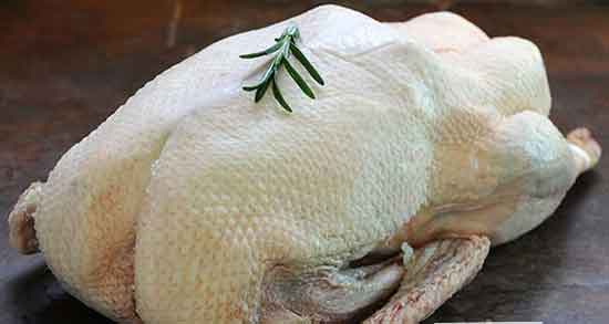 کالری گوشت غاز و میزان کالری یک لیوان گوشت غاز پخته شده چقدره کالری گوشت غاز ؛ میزان کالری یک لیوان گوشت غاز پخته شده چقدره