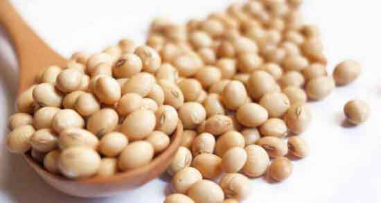 کالری ۱۰۰ گرم آجیل سویا ؛ چه میزان کالری در آجیل سویا وجود دارد کالری ۱۰۰ گرم آجیل سویا ؛ چه میزان کالری در آجیل سویا وجود دارد