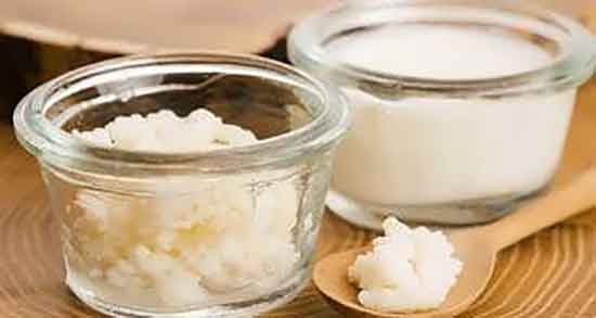 کفیر برای سنگ کلیه و ایا کفیر به از بین رفتن سنگ کلیه کمک میکند کفیر برای سنگ کلیه ؛ ایا کفیر به از بین رفتن سنگ کلیه کمک میکند