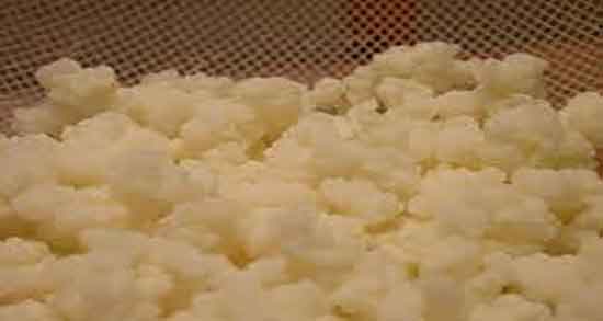 کفیر و زخم معده و درمان و بهبود زخم معده با خوردن کفیر در ماست کفیر و زخم معده ؛ درمان و بهبود زخم معده با خوردن کفیر در ماست