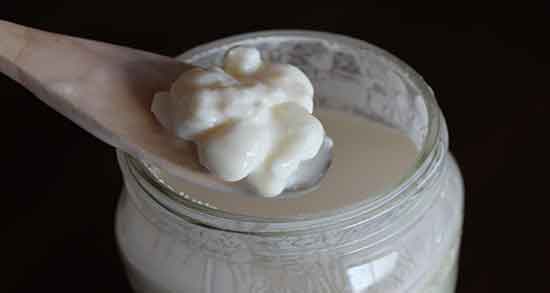 کفیر چگونه درست میشود و ماست کفیر چیست و چگونه درست میشود کفیر چگونه درست میشود ؛ ماست کفیر چیست و چگونه درست میشود