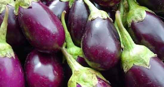 کلاهک بادمجان برای دیابت ؛ مقدار مصرف کلاهک بادمجان برای قند خون کلاهک بادمجان برای دیابت ؛ مقدار مصرف کلاهک بادمجان برای قند خون