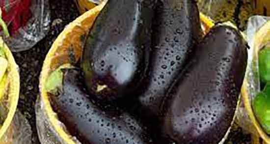 کلاهک بادمجان برای عفونت ؛ خوردن کلاهک بادمجان برای عفونت واژن کلاهک بادمجان برای عفونت ؛ خوردن کلاهک بادمجان برای عفونت واژن