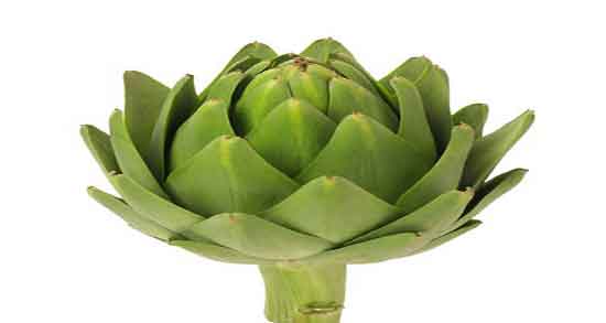 کنگر فرنگی در طب سنتی ؛ فواید مصرف کنگر فرنگی از نظر طب سنتی کنگر فرنگی در طب سنتی ؛ فواید مصرف کنگر فرنگی از نظر طب سنتی