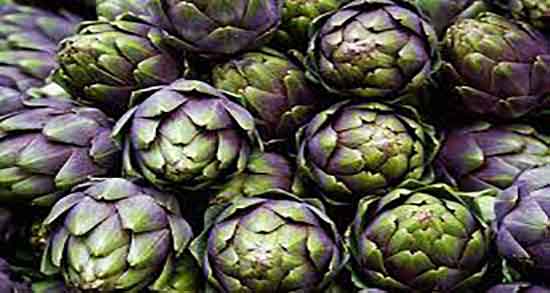 کنگر فرنگی و خواصش ؛ خواص مصرف کنگر فرنگی برای زنان باردار کنگر فرنگی و خواصش ؛ خواص مصرف کنگر فرنگی برای زنان باردار