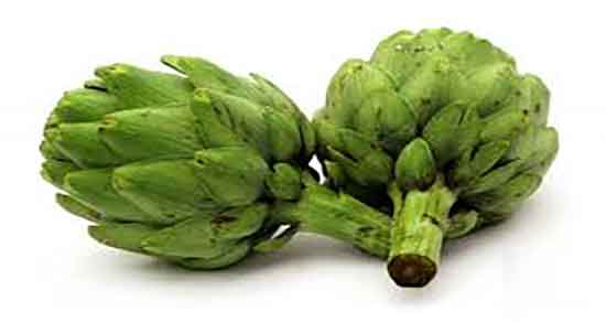 کنگر فرنگی چیست و گیاه کنگر فرنگی چیست و چه فوایدی دارد کنگر فرنگی چیست ؛ گیاه کنگر فرنگی چیست و چه فوایدی دارد