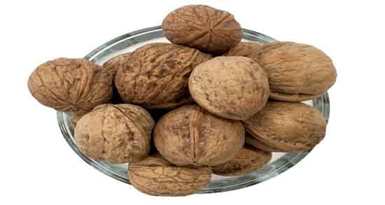 گردو برای تیروئید کم کار و فواید دارویی گردو برای درمان کم کاری تیروئید گردو برای تیروئید کم کار ؛ فواید دارویی گردو برای درمان کم کاری تیروئید