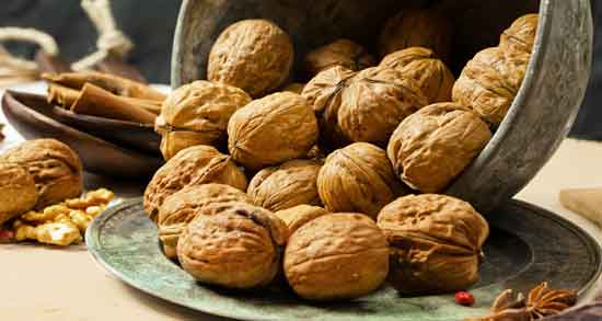 گردو برای عروس هلندی و بررسی خواص و مضرات استفاده گردو برای تغذیه عروس هلندی گردو برای عروس هلندی ؛ بررسی خواص و مضرات استفاده گردو برای تغذیه عروس هلندی