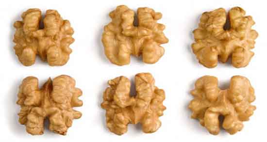 گردو در شیردهی و مقوی کردن شیر مادر با خوردن گردو گردو در شیردهی ؛ مقوی کردن شیر مادر با خوردن گردو