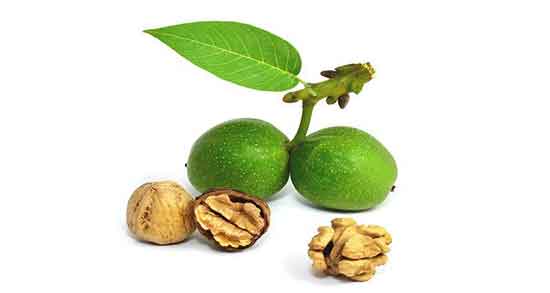 گردو و لاغری و افزایش سوخت و ساز بدن و چربی سوزی با خوردن گردو گردو و لاغری ؛ افزایش سوخت و ساز بدن و چربی سوزی با خوردن گردو