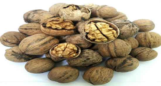 گردو و کبد چرب و خاصیت خوردن گردو برای درمان کبد چرب گردو و کبد چرب ؛ خاصیت خوردن گردو برای درمان کبد چرب