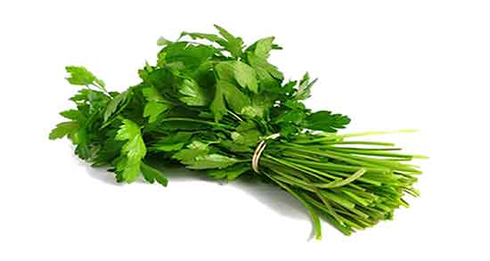 گشنیز و بارداری ؛ فواید مصرف گشنیز برای زنان باردار چیست گشنیز و بارداری ؛ فواید مصرف گشنیز برای زنان باردار چیست