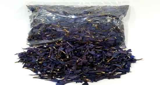 گل گاوزبان برای اعصاب و گل گاوزبان به عنوان نسخه گیاهی برای آرامش اعصاب گل گاوزبان برای اعصاب ؛ گل گاوزبان به عنوان نسخه گیاهی برای آرامش اعصاب