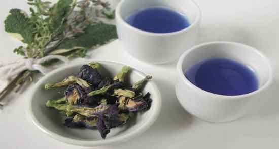 گل گاوزبان برای زایمان و باز شدن دهانه رحم با خوردن گل گاوزبان در ماه آخر بارداری گل گاوزبان برای زایمان ؛ باز شدن دهانه رحم با خوردن گل گاوزبان در ماه آخر بارداری