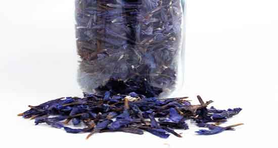 گل گاوزبان برای سودا و تاثیر خوردن دمنوش گل گاوزبان برای غلبه بر سودا گل گاوزبان برای سودا ؛ تاثیر خوردن دمنوش گل گاوزبان برای غلبه بر سودا