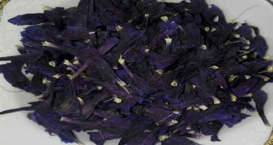 گل گاوزبان در دوران پریودی و درمان کمر درد در پریودی با مصرف دمنوش گل گاوزبان گل گاوزبان در دوران پریودی ؛ درمان کمر درد در پریودی با مصرف دمنوش گل گاوزبان