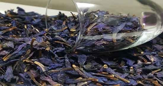 گل گاوزبان در زمان پریودی ؛ کاهش درد پریودی با خوردن گل گاوزبان گل گاوزبان در زمان پریودی ؛ کاهش درد پریودی با خوردن گل گاوزبان