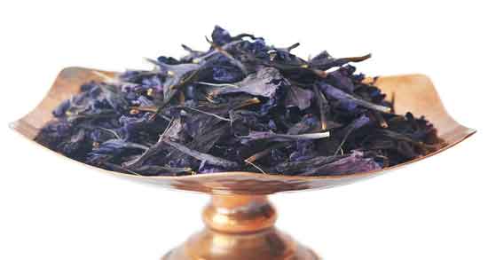 گل گاوزبان در شیردهی و تاثیر خوردن دمنوش گل گاوزبان برای شیر مادر گل گاوزبان در شیردهی ؛ تاثیر خوردن دمنوش گل گاوزبان برای شیر مادر