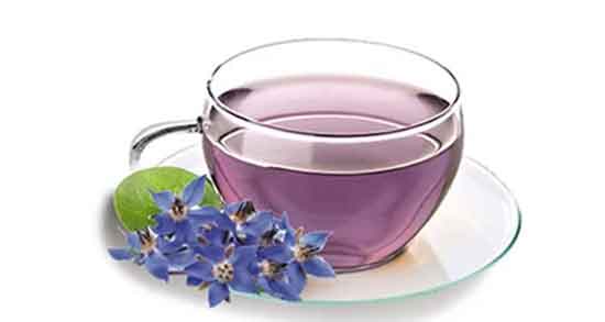 گل گاوزبان در پریودی ؛ فواید و مضرات مصرف دمنوش گل گاوزبان برای دوران پریودی گل گاوزبان در پریودی ؛ فواید و مضرات مصرف دمنوش گل گاوزبان برای دوران پریودی