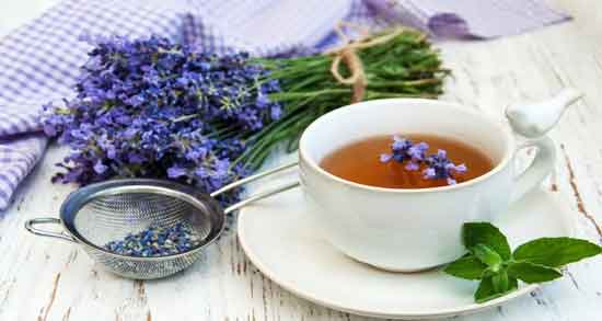 گل گاوزبان و اسطوخودوس و تقویت اعصاب با مصرف گل گاوزبان و اسطوخودوس گل گاوزبان و اسطوخودوس ؛ تقویت اعصاب با مصرف گل گاوزبان و اسطوخودوس