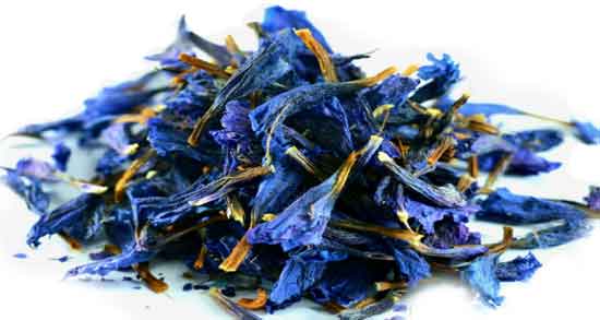 گل گاوزبان و سقط جنین و مصرف گل گاوزبان در اوایل بارداری باعث سقط جنین گل گاوزبان و سقط جنین ؛ مصرف گل گاوزبان در اوایل بارداری باعث سقط جنین