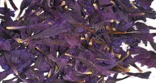 گل گاوزبان و قاعدگی و آشنایی با خواص و مضرات خوردن دمنوش گل گاوزبان برای دوران قاعدگی گل گاوزبان و قاعدگی ؛ آشنایی با خواص و مضرات خوردن دمنوش گل گاوزبان برای دوران قاعدگی