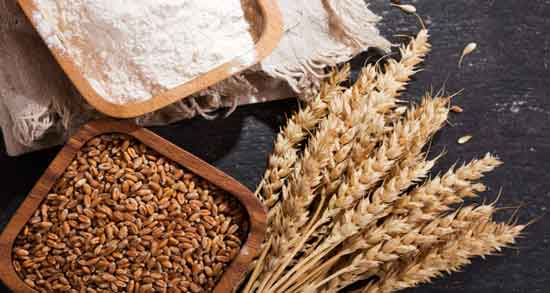 گندم سیاه برای کودک و آشنایی با فواید خوردن گندم سیاه برای کودکان گندم سیاه برای کودک ؛ آشنایی با فواید خوردن گندم سیاه برای کودکان