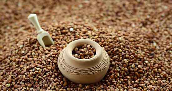 گندم سیاه در بارداری و فواید و مضرات خوردن گندم سیاه برای زن باردار گندم سیاه در بارداری ؛ فواید و مضرات خوردن گندم سیاه برای زن باردار