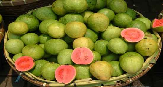 گواوا در بارداری و خواص و مضرات خوردن گواوا برای زن باردار گواوا در بارداری ؛ خواص و مضرات خوردن گواوا برای زن باردار